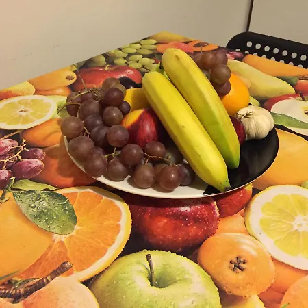 公寓 博尔盖托帕尼加尔公寓 *