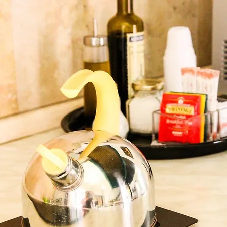 博尔盖托帕尼加尔公寓